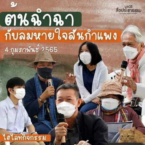 ต้นฉำฉากับลมหายใจสันกำแพง