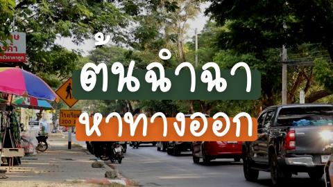 ต้นฉำฉา หาทางออก