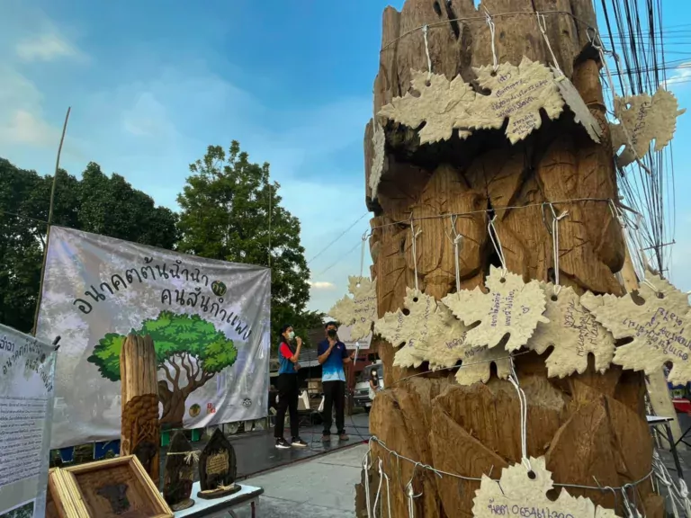 ชวนมอง “อนาคตต้นฉำฉากับคนสันกำแพง”