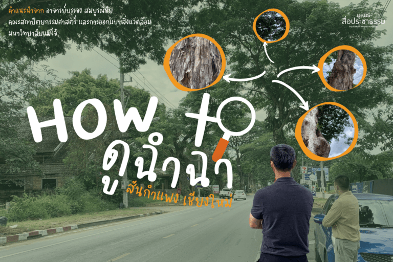 How to ดูฉำฉา