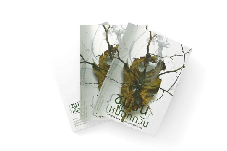 ชุมชนหมอกควัน (2552)