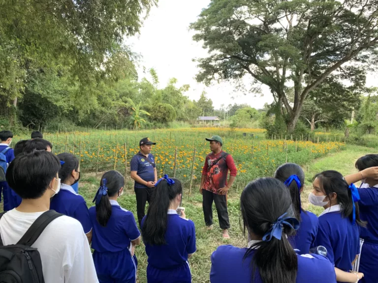 เยาวชนมองสันทรายผ่านเมนูอาหาร