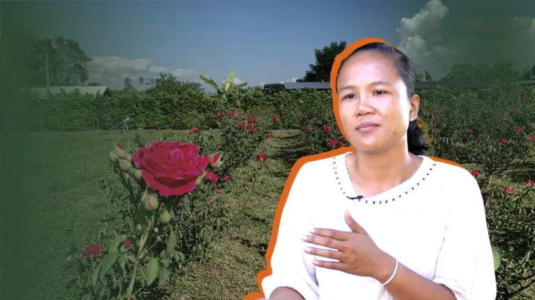 เกษตรอินดี้: จากการพยาบาลผู้คนสู่การทำกุหลาบอินทรีย์