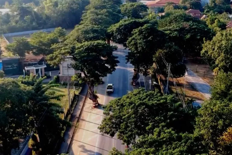 ผู้ว่าฯ เชียงใหม่ มีคำสั่งแต่งตั้งคกก. ดูแลต้นฉำฉาสันกำแพง มอบหมาย อ.สันกำแพงเป็นเจ้าภาพหลัก