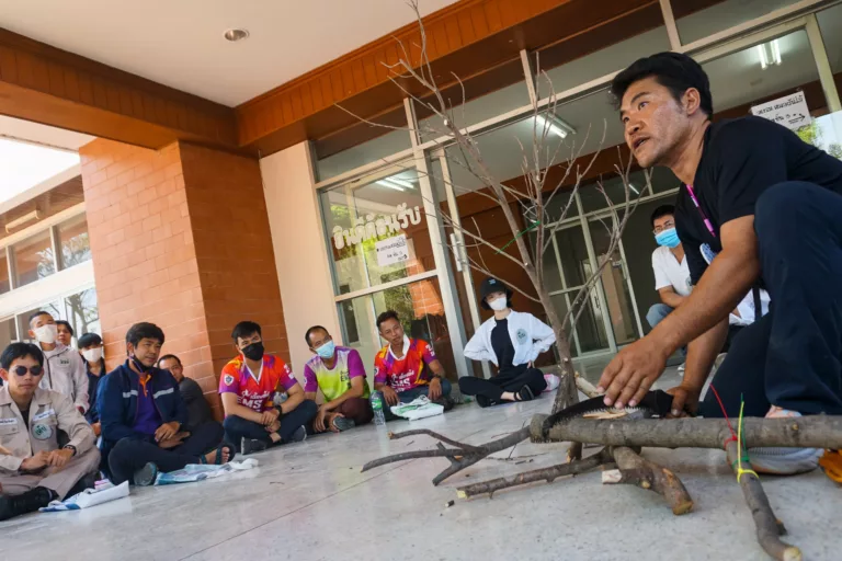 Happy Tree พาตัดแต่งต้นไม้แบบถูกที่ ถูกเวลา ด้วยฉบับความรู้รุกขกรรมอย่างครบเครื่อง