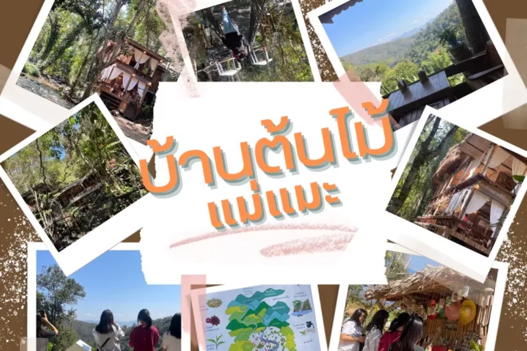 ชวนท่องเที่ยวเชียงดาวแบบรู้คุณค่าชุมชน และสิ่งแวดล้อม: บ้านต้นไม้ แม่แมะ