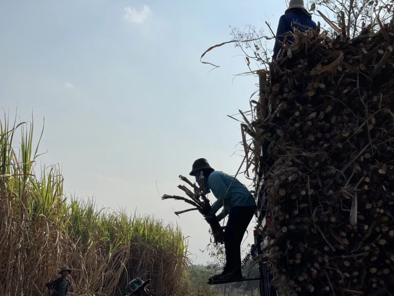 All Workers Matter แรงงานไทย-ผู้โยกย้ายถิ่นฐาน ความฝัน ความหวังถึงชีวิตที่ดีและการคุ้มครองในความเป็นมนุษย์ที่เท่าเทียม