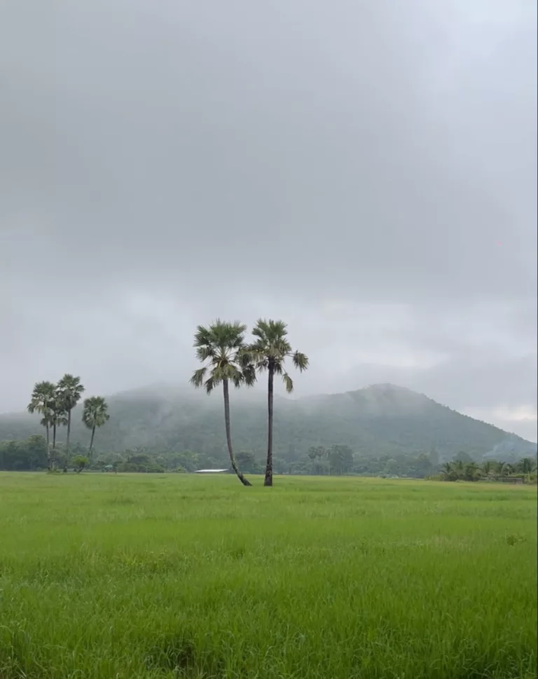 ลืมเวียง มาหลงดง ที่บ้านปงห้วยลาน