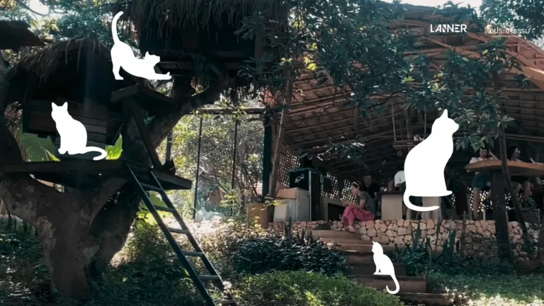 ธุรกิจแบบใหม่ในแม่วาง กับกระแสหวนคืนสู่ธรรมชาติ