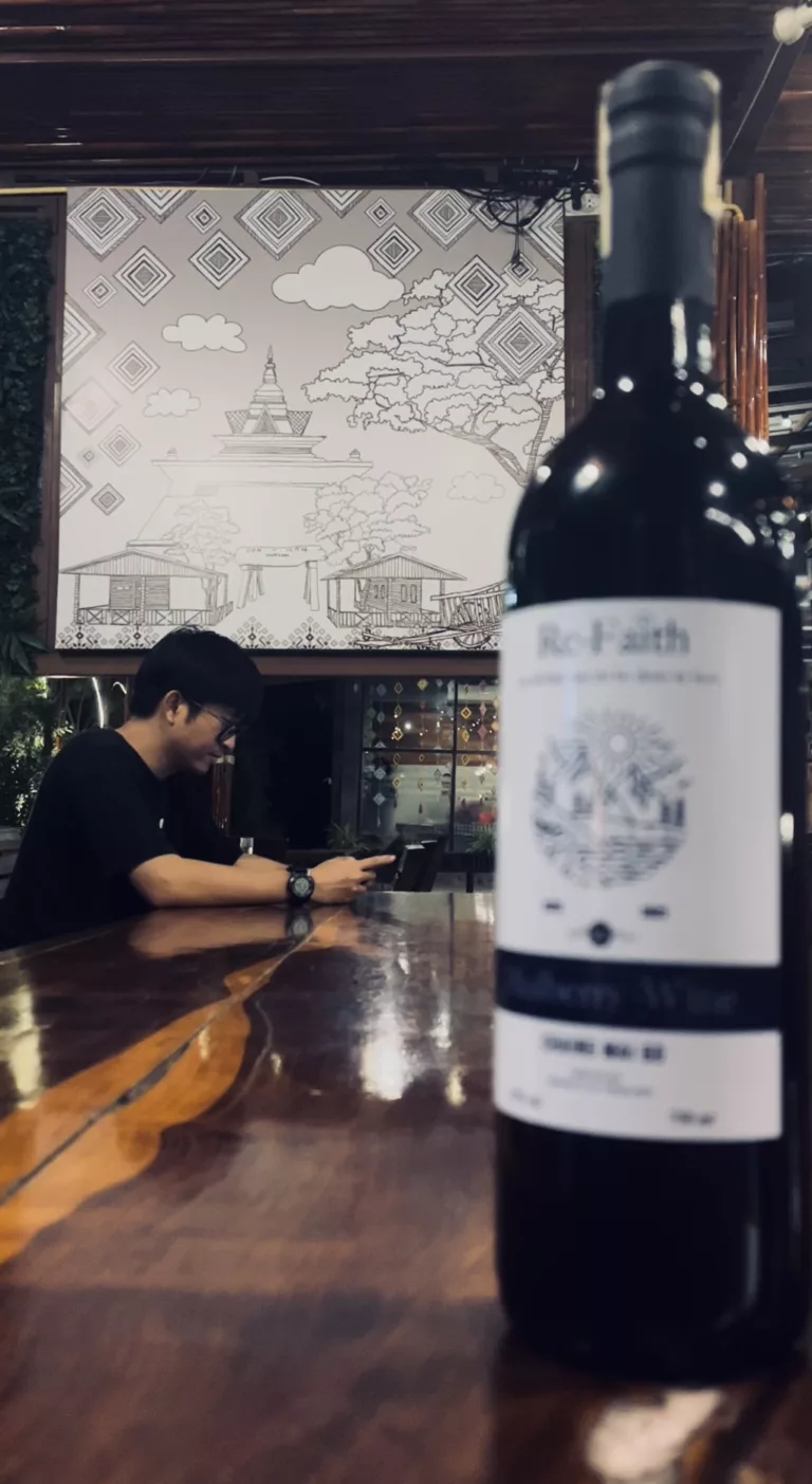 เพราะ พ.ร.บ.สุรา มาตรา 32 ฉันจึงนอนพะงาบ, หม่อน มากกว่าอาหารไหม, ไวน์ มากกว่าของแพง, ขอนแก่น มากกว่า GPP อันดับที่ 33!