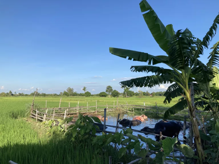 ‘กาฬสินธุ์’ เกือบ 2 ทศวรรษกับการพัฒนาที่ยังมาไม่ถึง