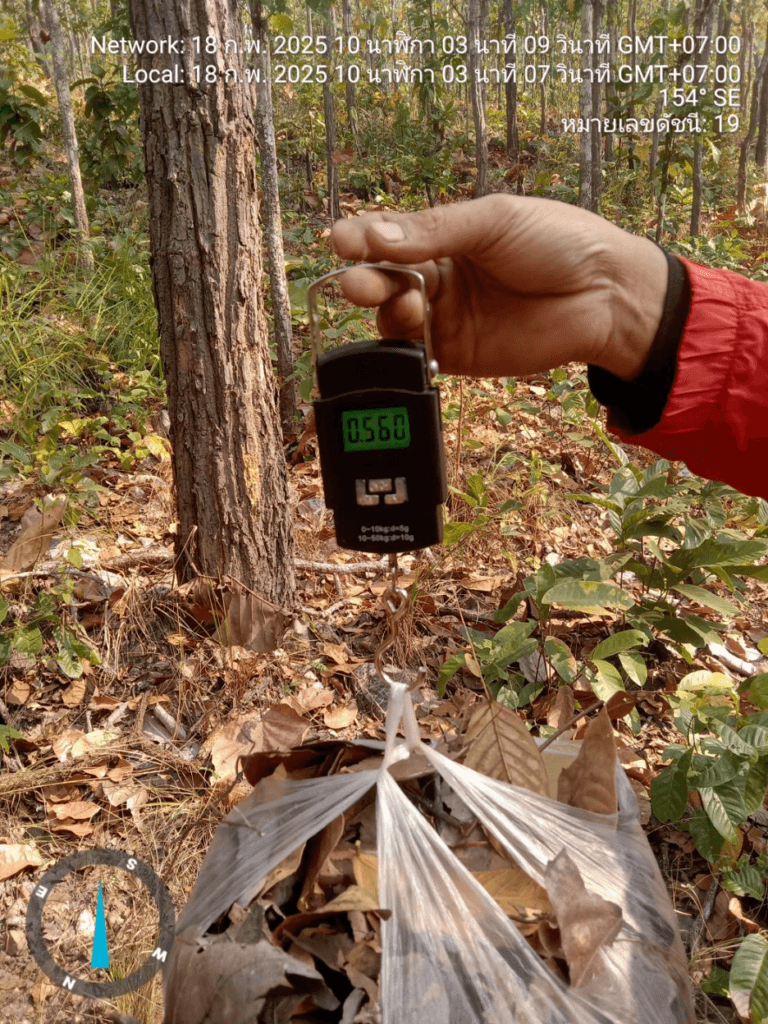 จุดเปลี่ยนทาเหนือสู่การบริหารจัดการเชื้อเพลิงป้องกันไฟป่า