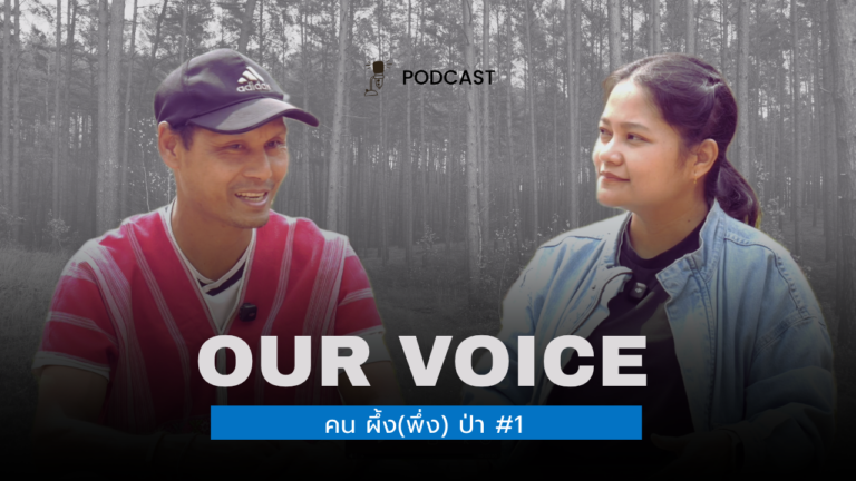 OUR VOICE PODCAST คน ผึ้ง(พึ่ง) ป่า